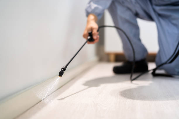 Licensed Pest Control service in Winchester, VA - Show Me Pest Control